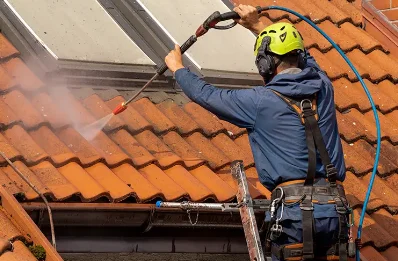 Démoussage et hydrofuge de toiture à Allemant